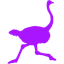 Nostr