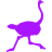 Nostr Nostr